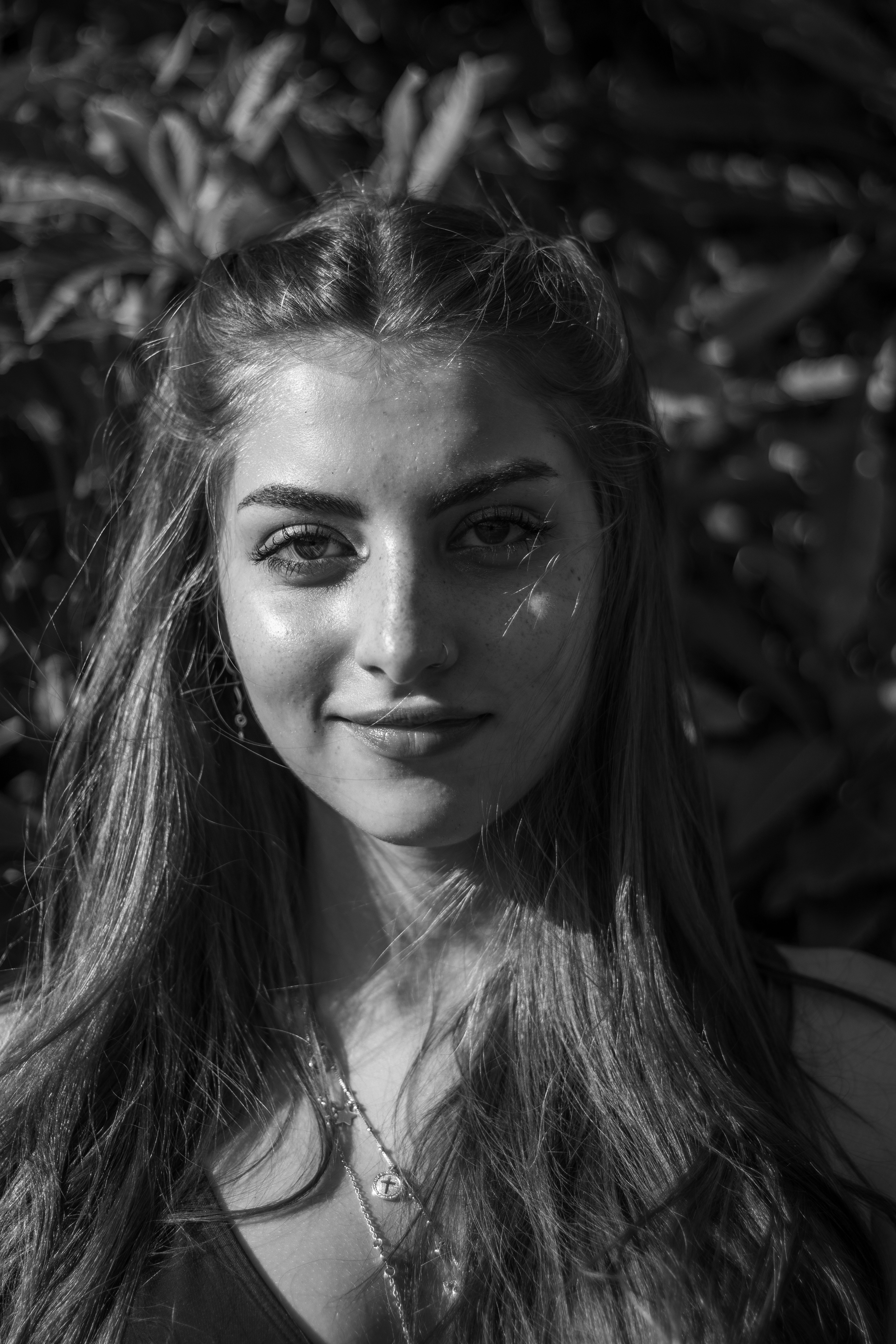 色谱柱规格标识与批次管理展示