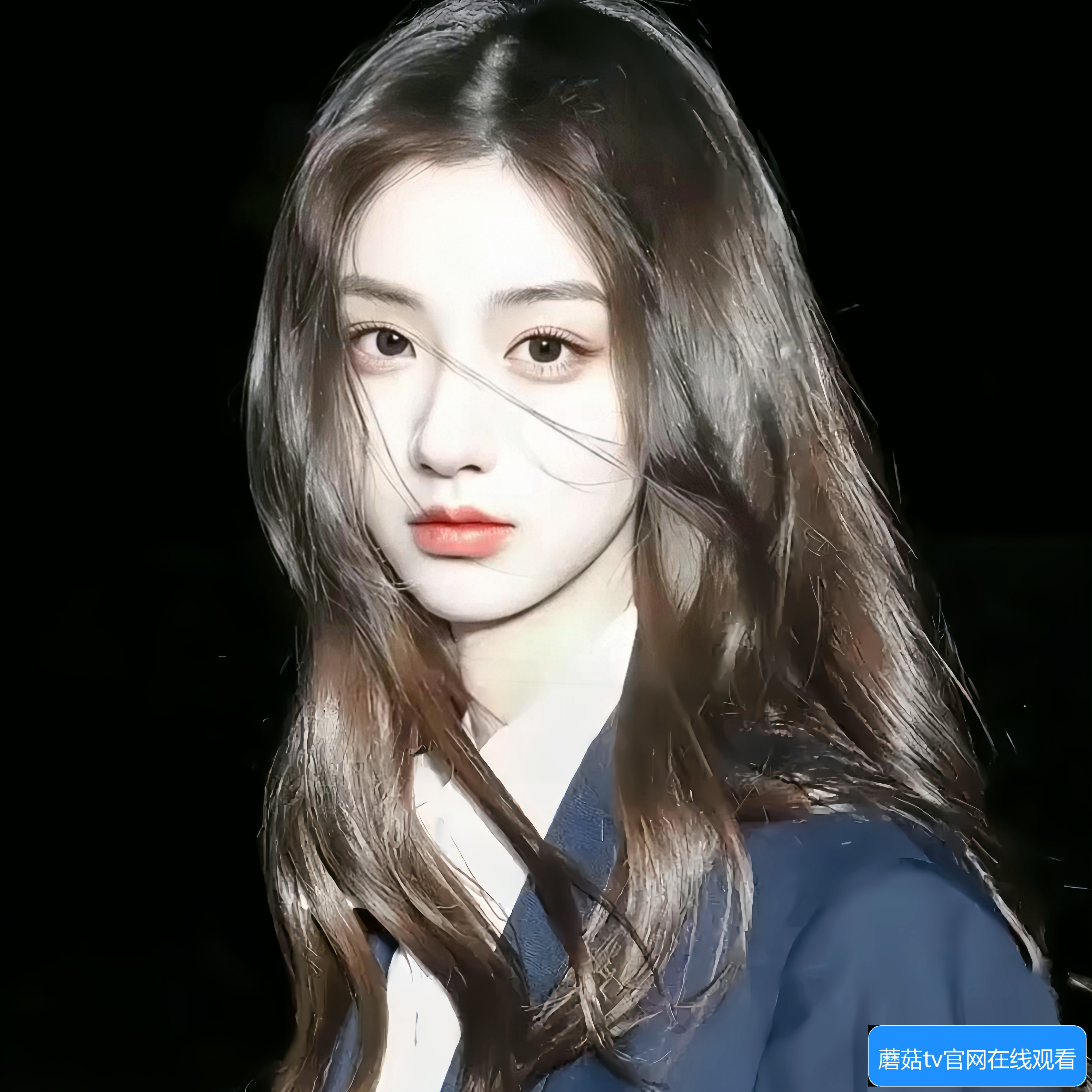 蘑菇tv官网在线观看